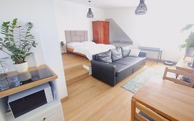 Attic Apartment Catnip