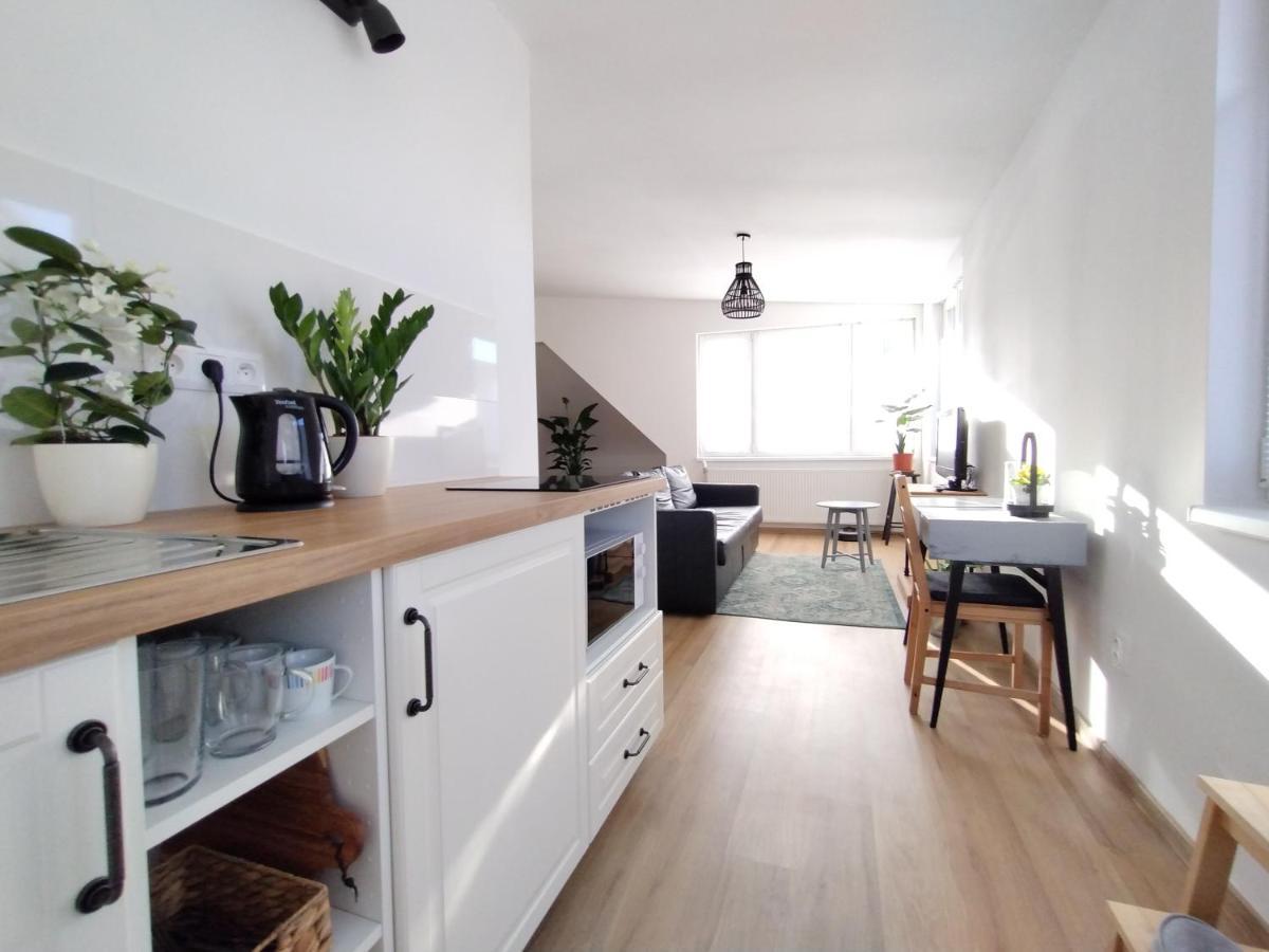 Attic Apartment Catnip Братислава Экстерьер фото